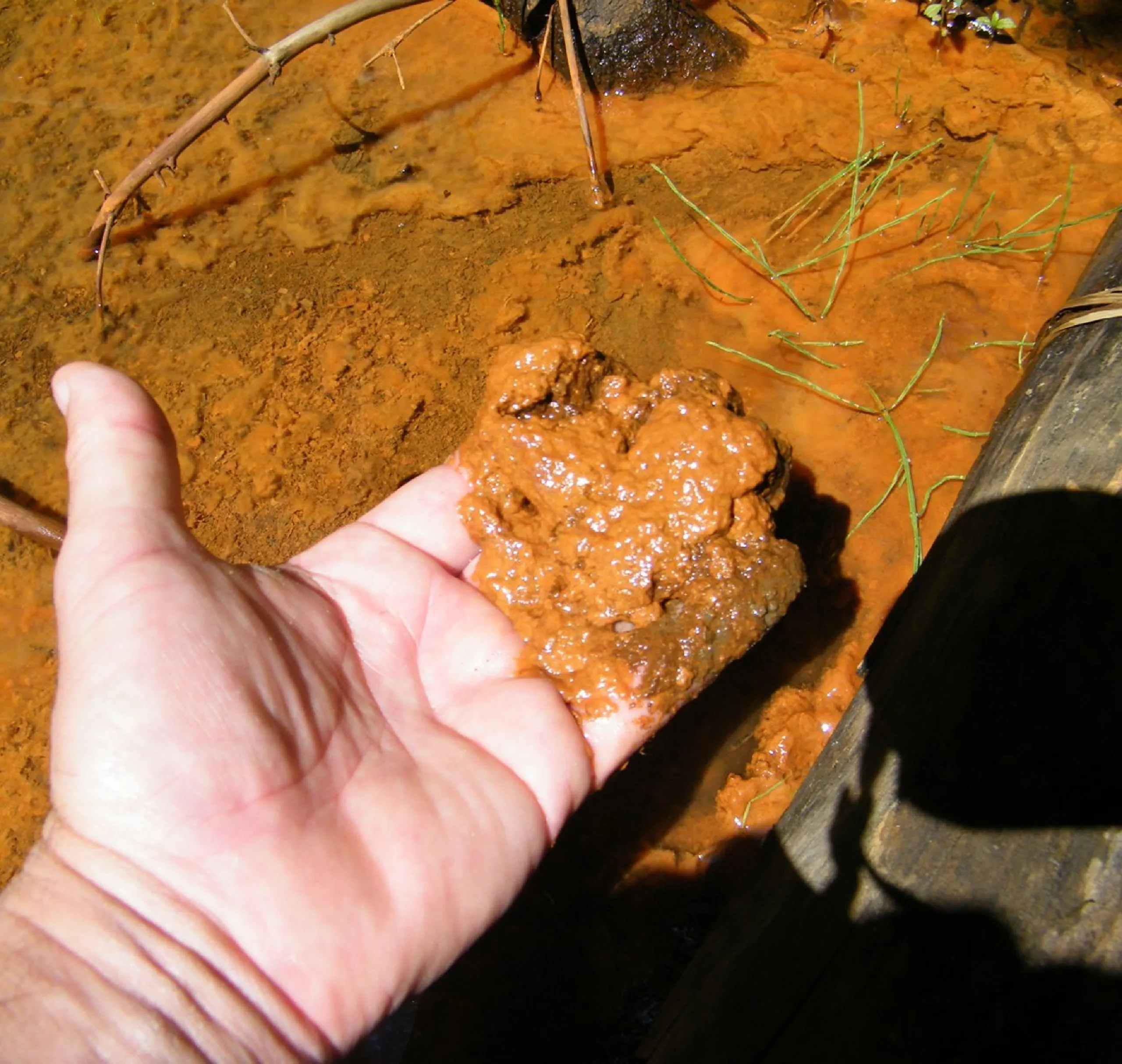 Ocre-Ferreuse